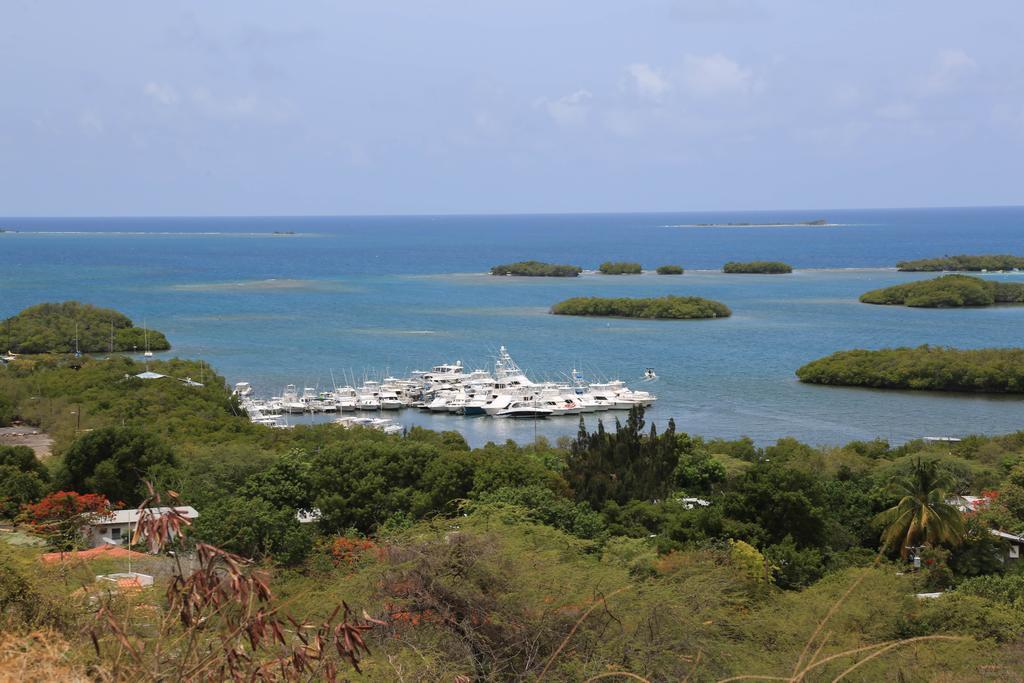 Parador Turtle Bay Inn La Parguera Buitenkant foto
