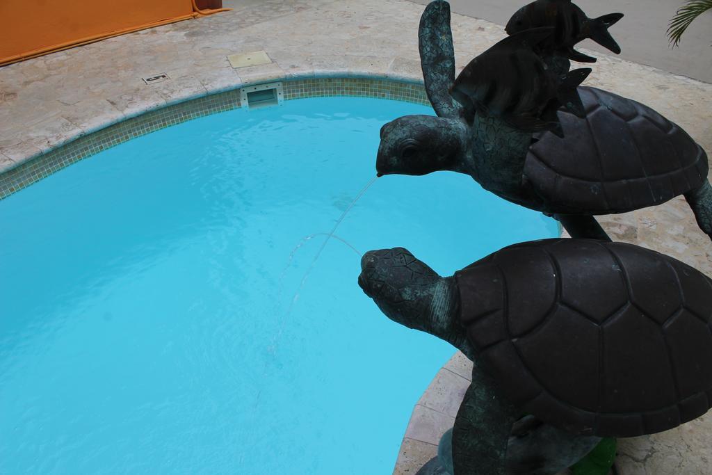 Parador Turtle Bay Inn La Parguera Buitenkant foto